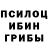 Галлюциногенные грибы MAGIC MUSHROOMS The Gambler1