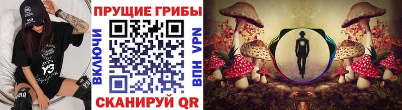 Галлюциногенные грибы Magic Shrooms  Кольчугино 